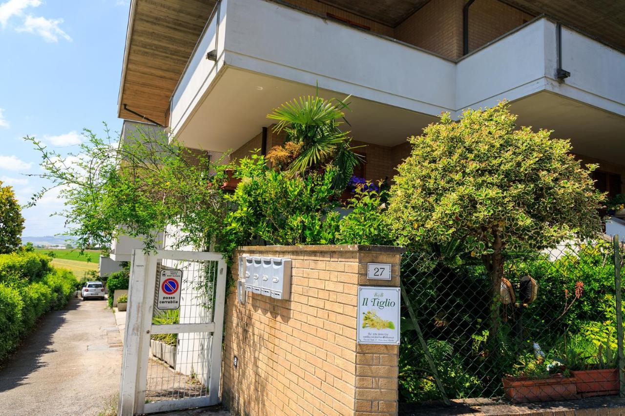 B&B Il Tiglio Porto SantʼElpidio Eksteriør billede